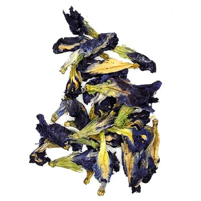 BUTTERFLY PEA FLOWER