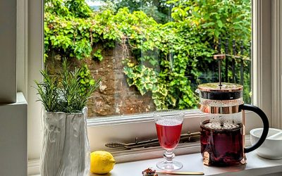 Summer Brew Collection